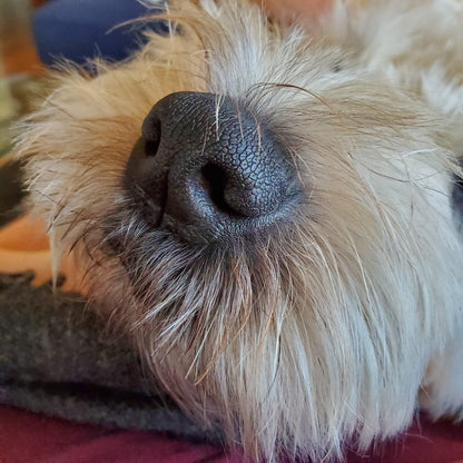 Booper Butter
