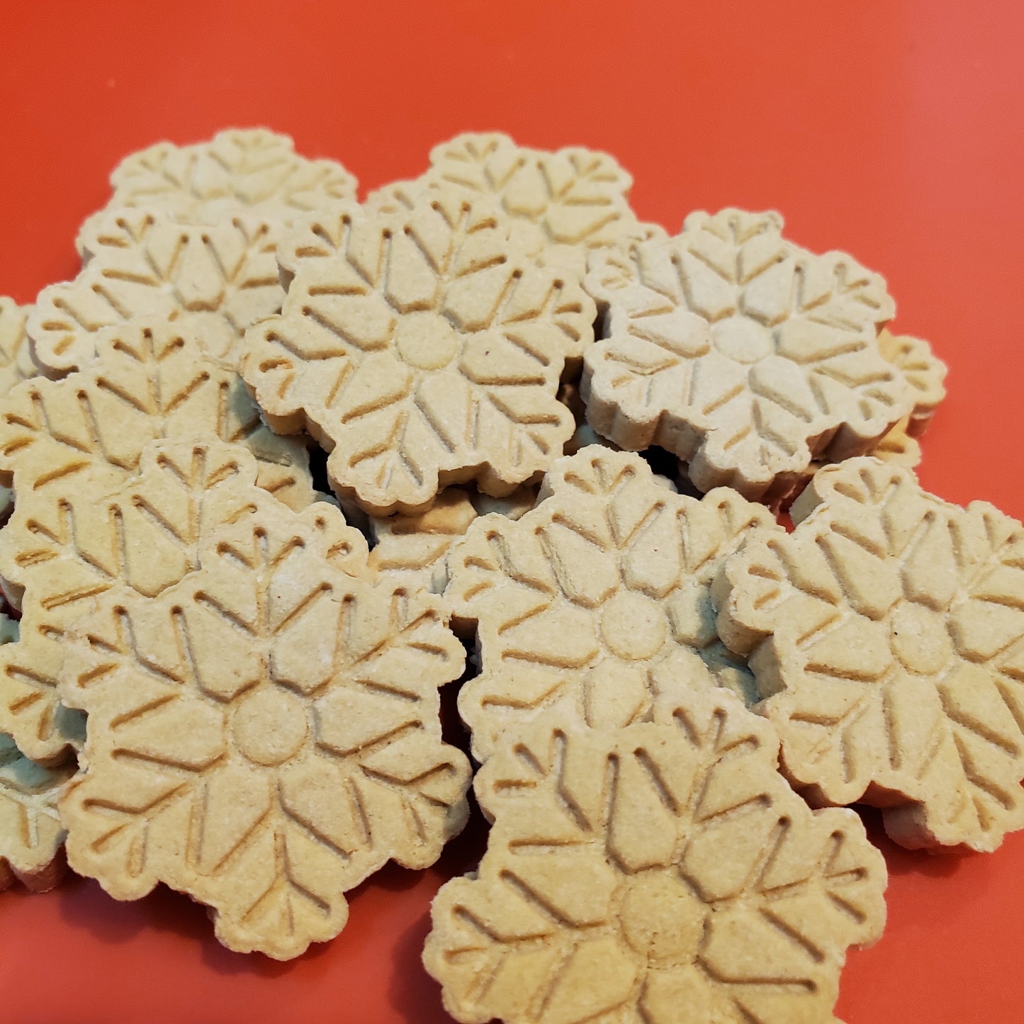 Snowflake Bites