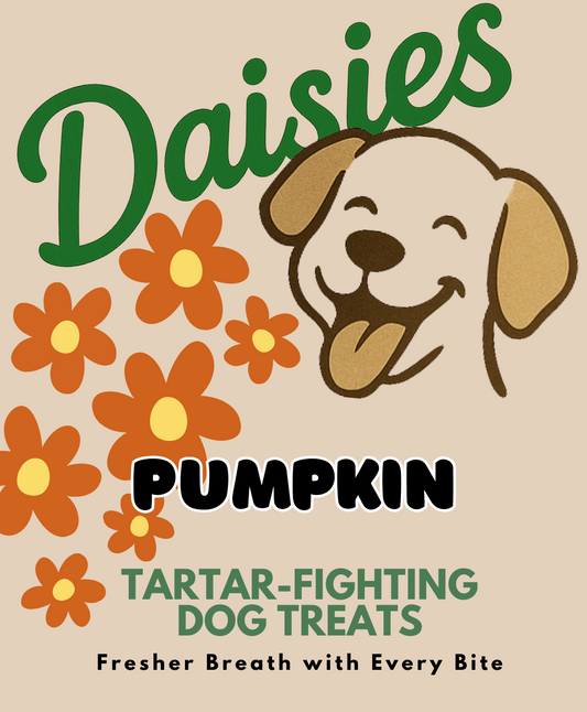 Daisies - with Pumpkin